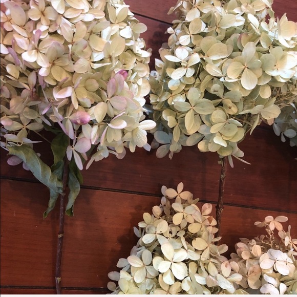Accents Dried Hydrangea Bouquet Floral Bouquet Poshmark